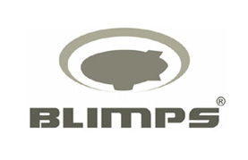 Blimps Comércio Eletrônico - Foto 1