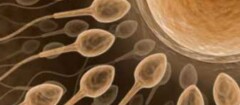 clinicas-de-fertilizacao-humana-sao-carlos-1453148894