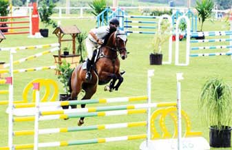 Haras Salamandra - Foto 1