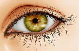 Espaço Saúde - Foto 1