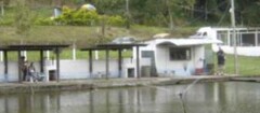 pesqueiros-sao-carlos-1452979163