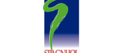 spagnhol-plantas-ornamentais-sao-carlos-1452912211