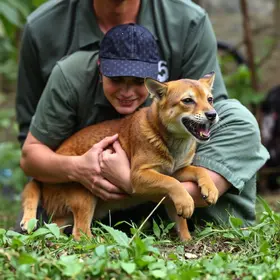 UTI para animais silvestres