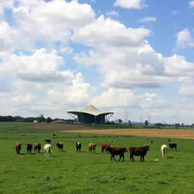 recuperação de pastagens