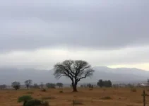 massa de frio