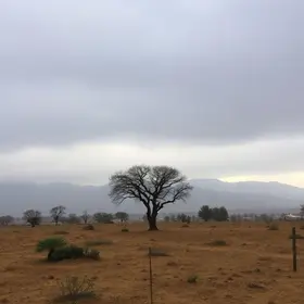 massa de frio