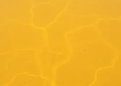 Últimas noticias de São Carlos