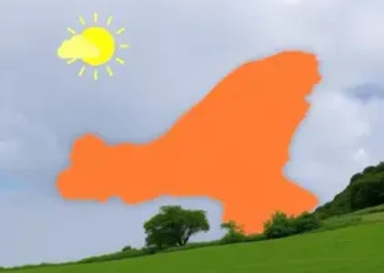 Últimas noticias de São Carlos