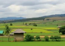 erros no cadastro de seleção para reforma agrária