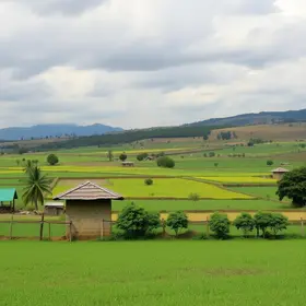 erros no cadastro de seleção para reforma agrária