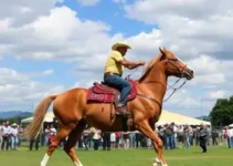 São Carlos Rodeio Fest 2026