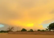 tempo muito seco amarelo em São Carlos e Araraquara
