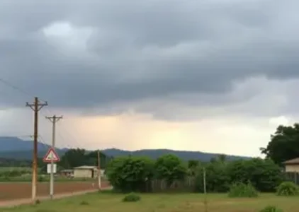 Últimas noticias de São Carlos