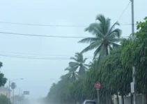 vento forte São Carlos