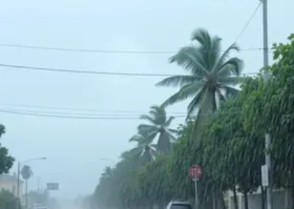 Últimas noticias de São Carlos
