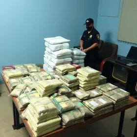 droga apreendida em São Carlos