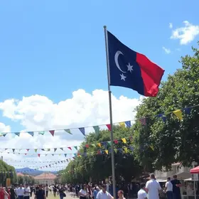 São Carlos Experience