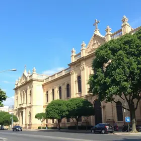 São Carlos Covid-19