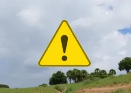 Últimas noticias de São Carlos