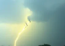 alerta amarelo