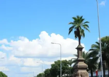 Últimas noticias de São Carlos