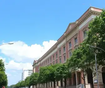 Concurso SMS São Carlos SP
