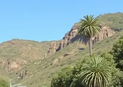 Últimas noticias de São Carlos