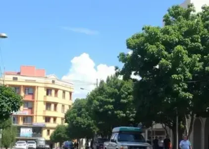 Últimas noticias de São Carlos