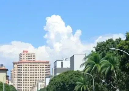 Últimas noticias de São Carlos