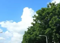 previsão do tempo em São Carlos (SP)