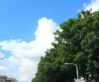 previsão do tempo em São Carlos (SP)