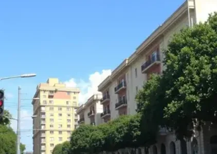 Últimas noticias de São Carlos